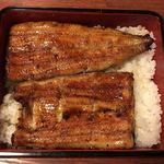 鰻はし本 - 限定鰻重