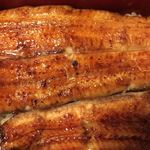 鰻はし本 - 限定鰻重