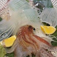 江藤家 - 