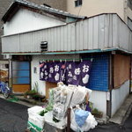 Sazanka