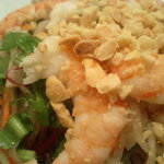 (食)越南 - ゴイ・ドゥドゥ（青いパパイヤ、えび、豚肉の酢のもの）