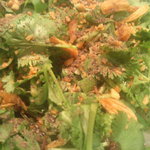 (食)越南 - フォー・ガー（鶏肉をのせたお米麺）