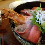 楽食堂 はいじ  - 海老もでっかいし、ネタも身厚