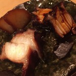 松もと - 佐島の蛸