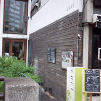 coci - 