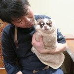 傳 - 愛犬プチJr.2