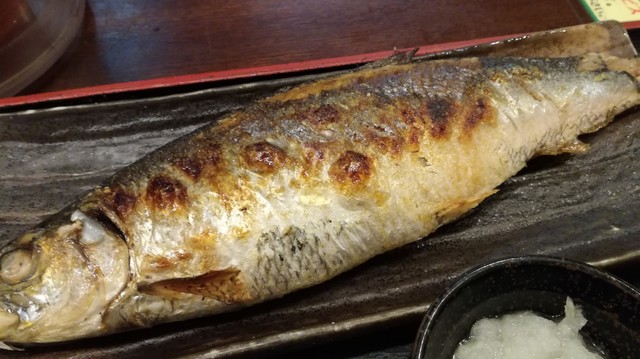 にしんの塩焼き定食 690円 By かくがく 魚人食堂 ウオンチュショクドウ 新宿西口 定食 食堂 食べログ