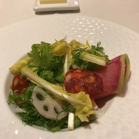 ジュー ドゥ マルシェ - アオリイカ　ピサンリ　わさび菜のサラダ仕立て　イベリコチョリソーと