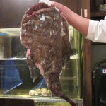 旬鮮彩鮨　豊のはなれ - 長崎の鮟鱇