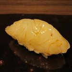 旬鮮彩鮨　豊のはなれ - アオリイカ