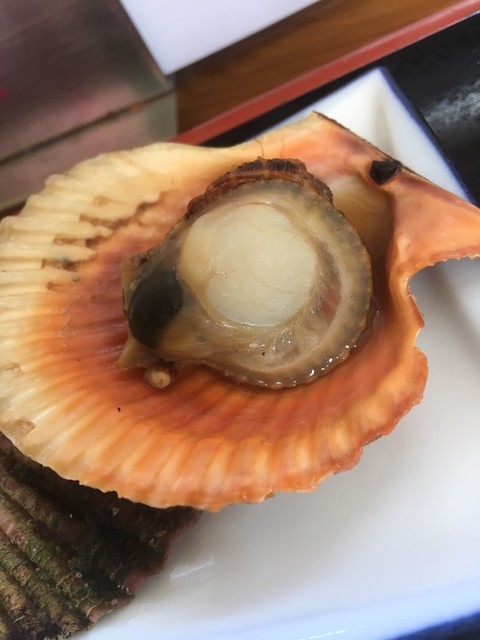 おまかせ定食 食ったど ッ By 北斗のオカン食う寝る遊ぶ 移転 鈴木水産 宮川 魚介料理 海鮮料理 食べログ