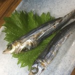 180208木　東京　岩手屋支店　うるめいわし530円