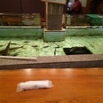 活魚料理　魚専 - 内観