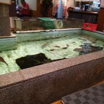 活魚料理　魚専 - 内観