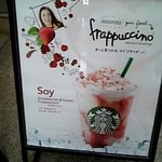 スターバックス コーヒー - 