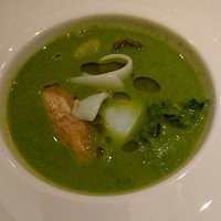 マガーリ - ヤリイカ、牡蠣、八角、菜花