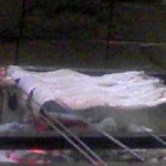 鰻家 うりずん。 - 