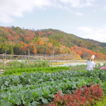 Restaurant 信 - 畑の写真