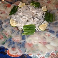 臼杵ふぐ山田や 大分都町店 - 