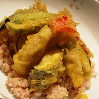 やさい家めい 表参道ヒルズ本家 - 日替わりランチ