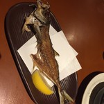 海鮮居酒屋 はなの舞 - 骨せんべい無料サービス