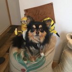 森谷珈琲工房 - 