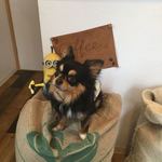 森谷珈琲工房 - 