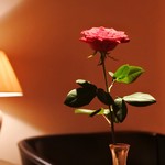 バー ル・サロン - 店内の一輪のバラ