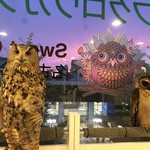 フクロウカフェ スイートアウル - のんびりたたずむフクロウさん