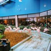 メヒコ 守谷フラミンゴ館