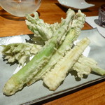 島之内 一陽 - 山うどの天麩羅