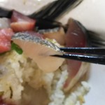 海さくら - サワラの焼霜造り