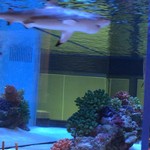 鉄板DINING集 栄店 - 