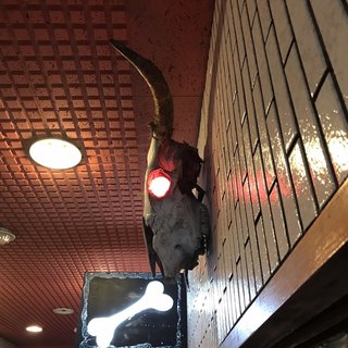 一条流がんこ総本家分家四谷荒木町_2