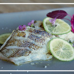 ワンズ バイ ソスウ - カマスの炙り　蕗の薹オイル　海塩　酢橘