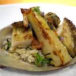 ドディチ・マッジョ - 