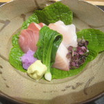 小熊 - 向附（長崎産九絵、和歌山産鰤）