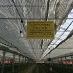 小松沢レジャー農園 - 