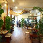 ペタニコーヒー - 