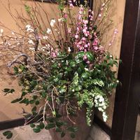うかい鳥山 - 