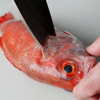 鮮度抜群◎『俺の魚を食ってみろ！！』