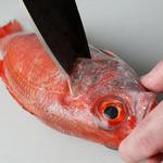 俺の魚を食ってみろ!! 神田本店