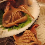 御料理 めなみ - 若狭の赤貝