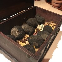 マルゴット エ バッチャーレ - 