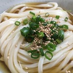 Yamagami Udon - とてもきれいな細麺。ぶっかけ出汁もそこはかとなくイイ。