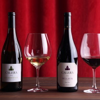 Glass of Wine　Red or White