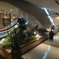 パパミラノ 阪急グランドビル店 - 