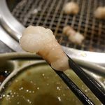 焼肉酒場 肉ノ助 トーキョー - どちらも美味しいものの、ぷるんとした食感、濃厚にとろけるような食感と甘さが活きた「マルチョウ」がいいっ！