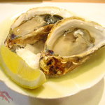 的矢の牡蠣　ｂｙ すぷちん