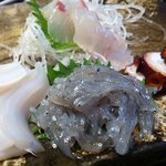 刺身盛合（生白州・墨烏賊・蛸・平目）